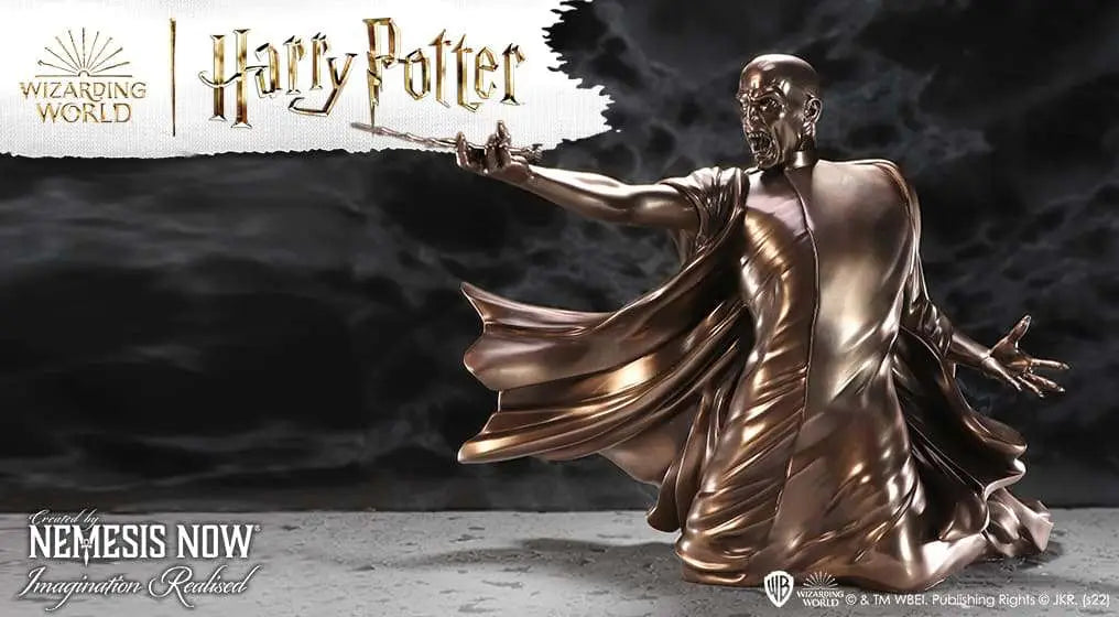 HARRY POTTER VOLDEMORT AVADA KEDAVRA