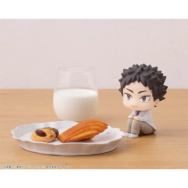 LOOKUP HAIKYU IWAIZUMI