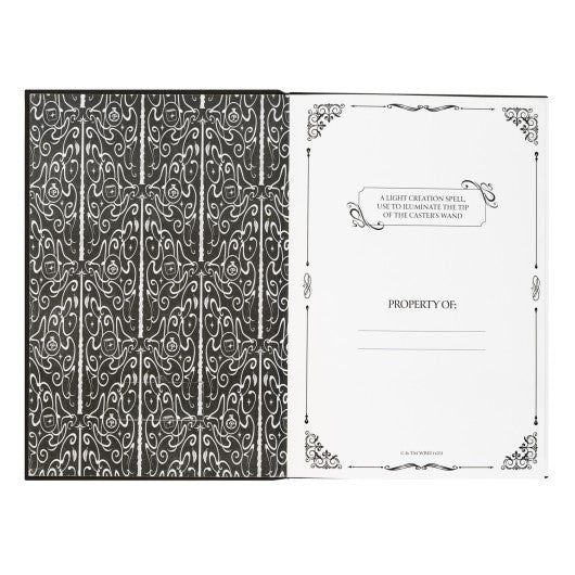 HARRY POTTER - Lomus - Premium Light Notebook + Wand Pen