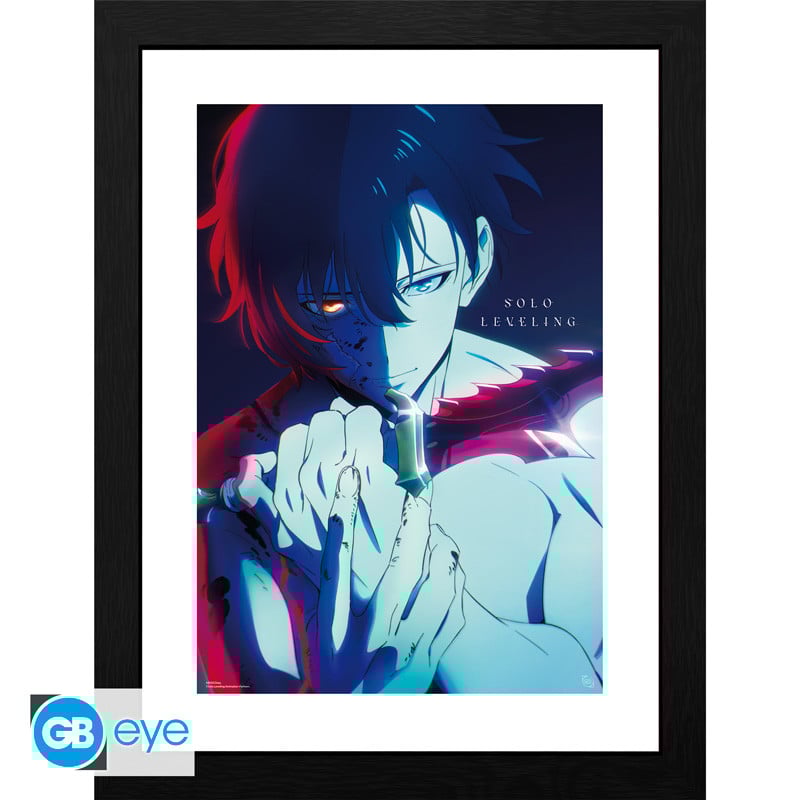 SOLO LEVELING - Collector Print 30X40 - Jinwoo