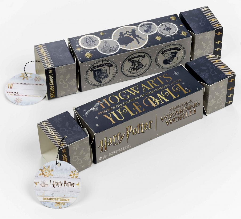 HARRY POTTER - Gift Craker - Glasses Necklace & Earings