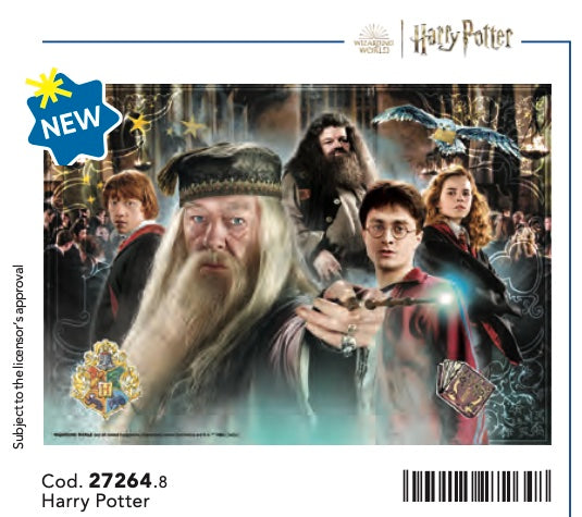 HARRY POTTER - Characters - Puzzle 104P