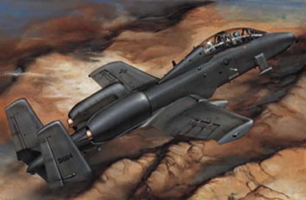 Fairchild A-10 A Thunderbolt N/AW