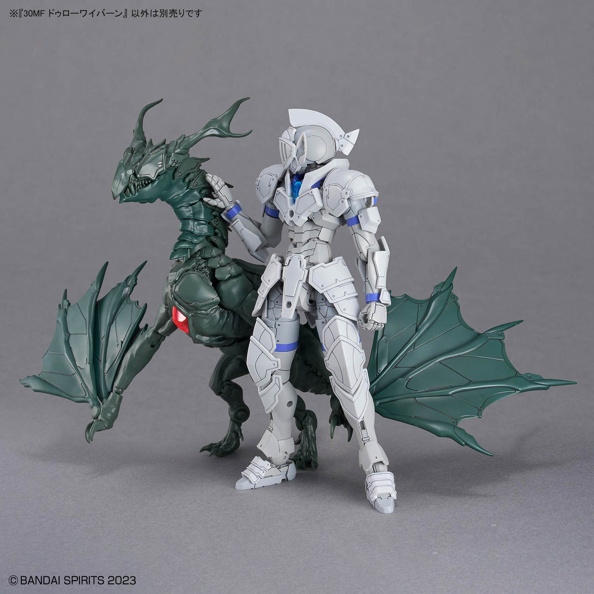 30MF Non-Scale Drow Wyvern
