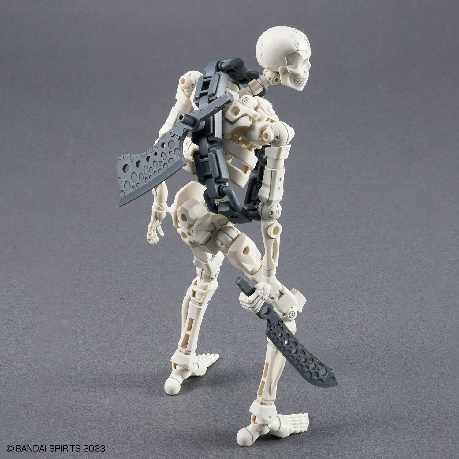 30MF DLRSkeleton