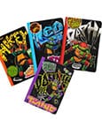 Teenage Mutant Ninja Turtles 4-Pack Notebooks