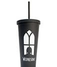Wednesday Tumbler with Straws 485 ml