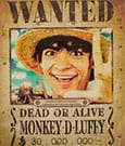 One Piece Advent Calendar 2025