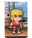 Street Fighter 2 FiGGYZ Magnet Collectible Ken 11 cm