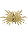 Dungeons & Dragons Medallion Lady of Pain Limited Edition