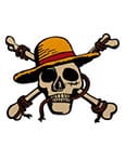 One Piece Medallion Jolly Roger Limited Edition