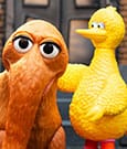 Sesame Street ReAction Action Figures 2-Pack Big Bird and Mr. Snuffleupagus 10 cm