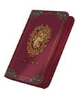 Ultimate Guard Zipfolio 160 Xenoskin Harry Potter - Gryffindor