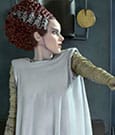 The Bride of Frankenstein Plastic Model Kit 1/8 Bride of Frankenstein 21 cm