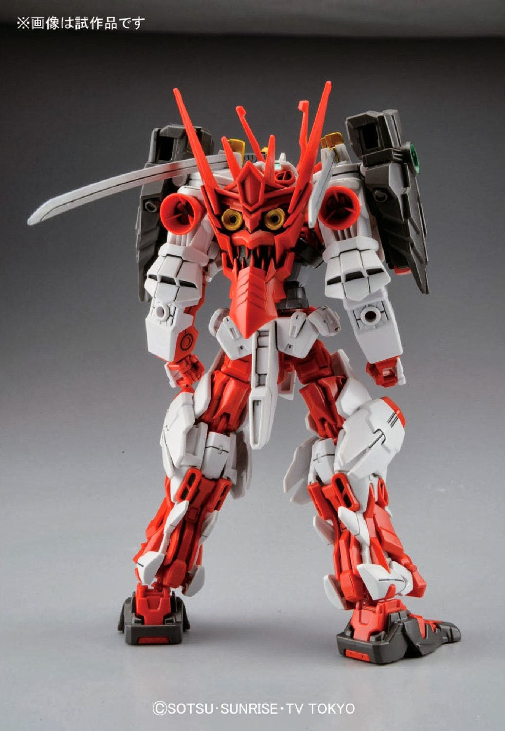 HG Sengoku Astray Gundam 1/144