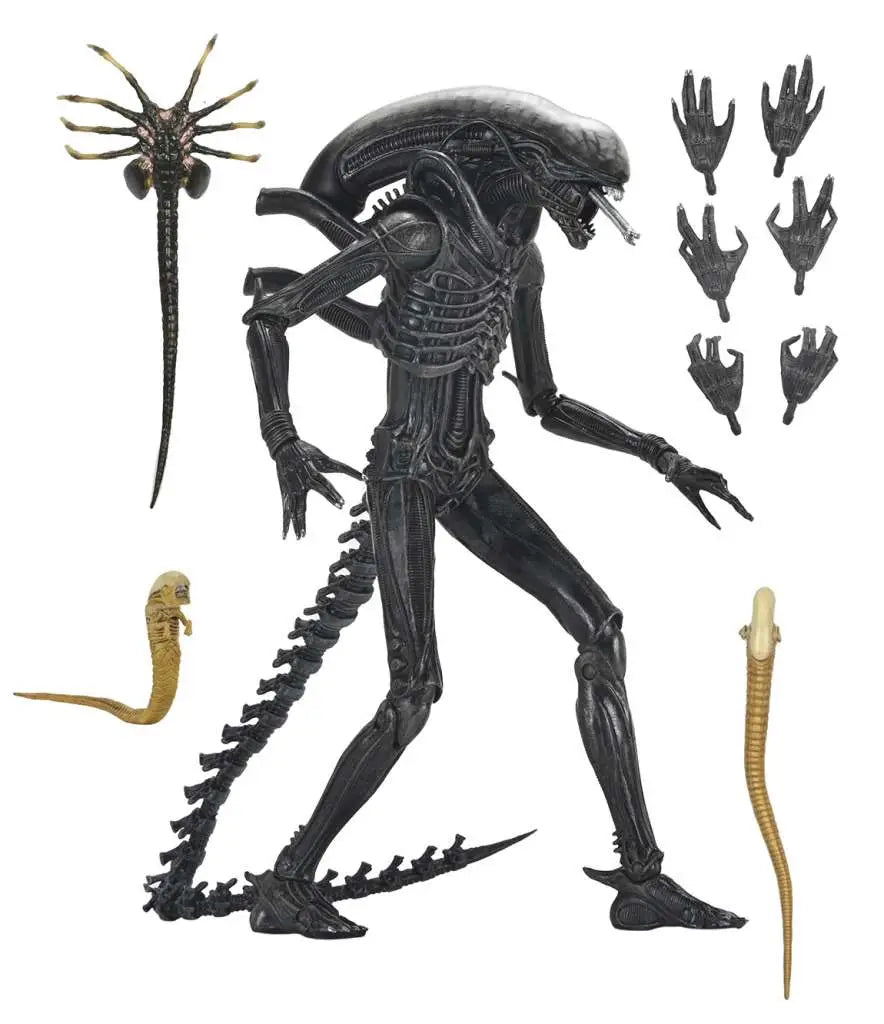 ALIEN ROMULUS XENOMORPH XX121 ULTIMATE AF