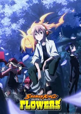SHAMAN KING 1000 PCS PUZZLE