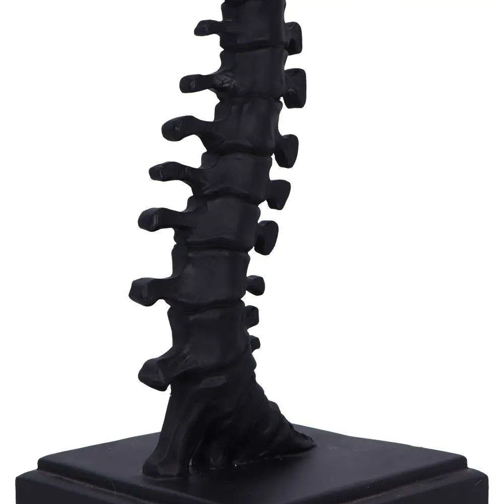 VERTEBRAE TABLE LAMP