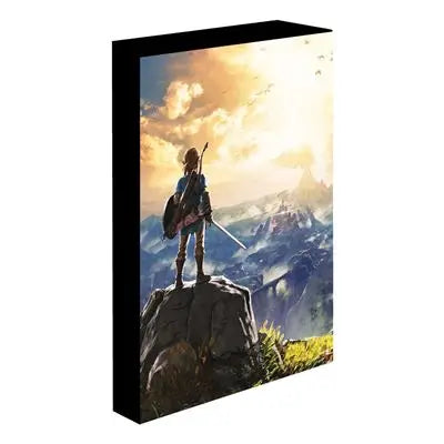 THE LEGEND OF ZELDA INTO THE WILDS LIGHT UP CANVAS