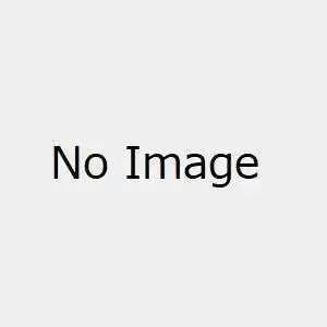 AGENTS FOUR SEASONS ROSEI KANTSUBAKI XSTELLAR FIGURE