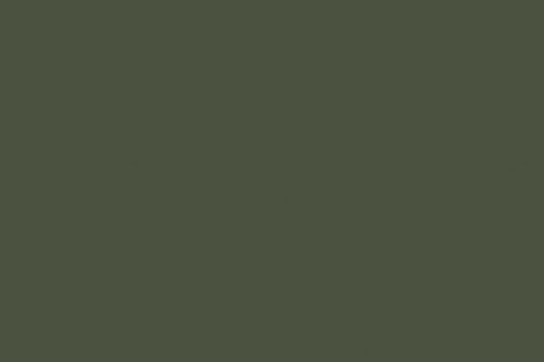 Model Air 17ml A-24M camouflage green