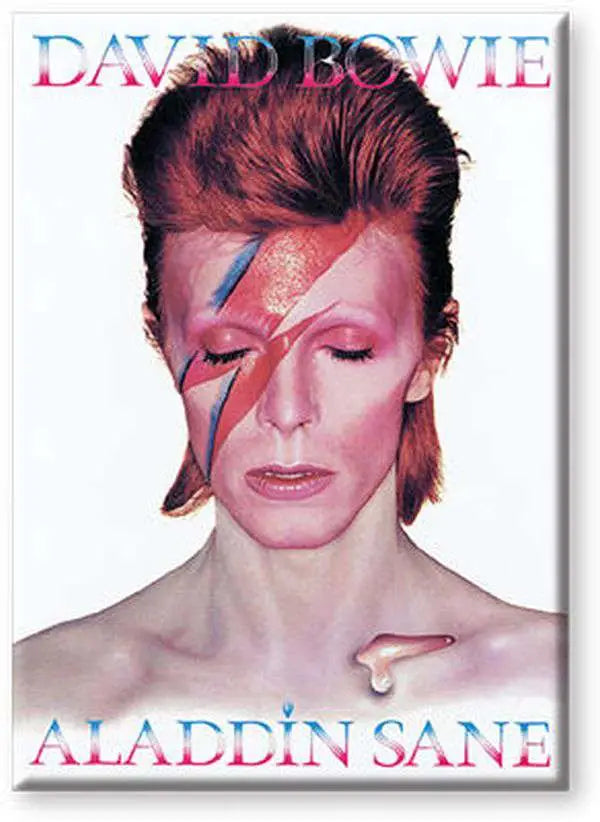 BOWIE ALADDIN SANE FLAT MAGNET