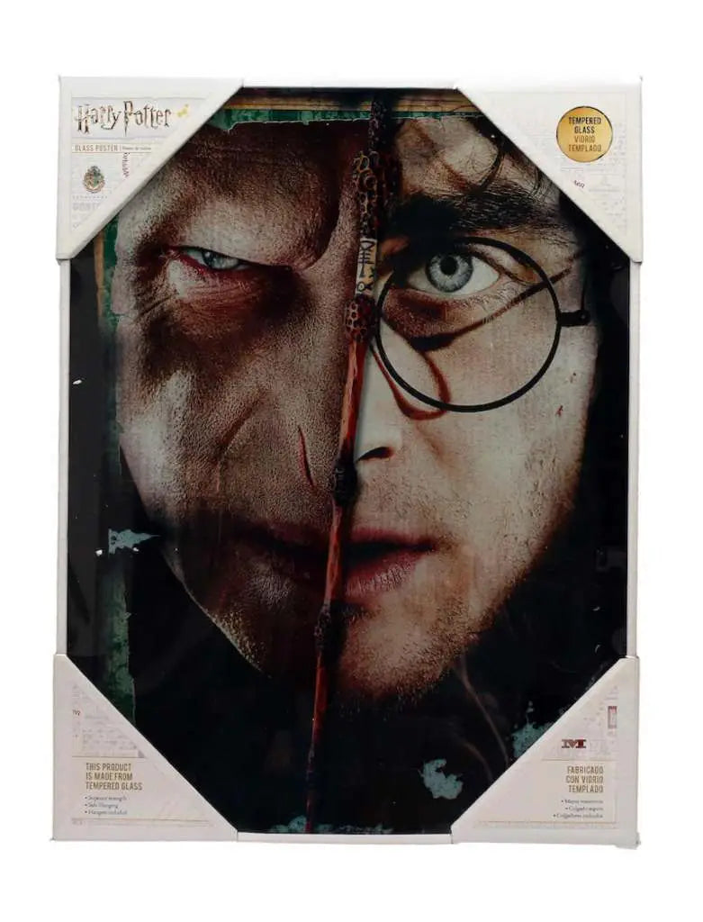 HP HALF FACE HARRY&VOLDEMORT GLASS POSTER