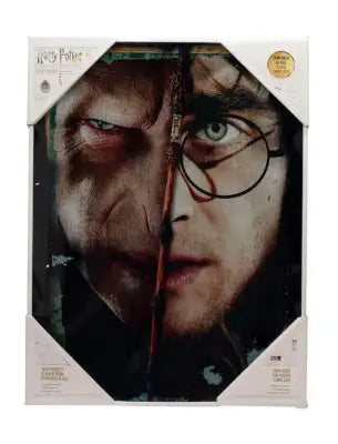 HP HALF FACE HARRY&VOLDEMORT GLASS POSTER