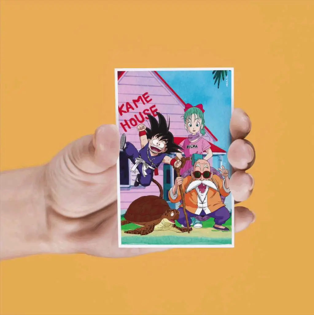 DRAGON BALL 4 LENTICULAR MAGNETS SET