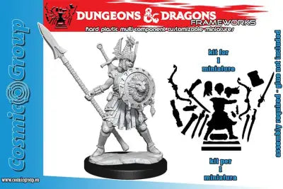 D&D FRAMEWORKS-HUMAN FIGHTER FEMALE