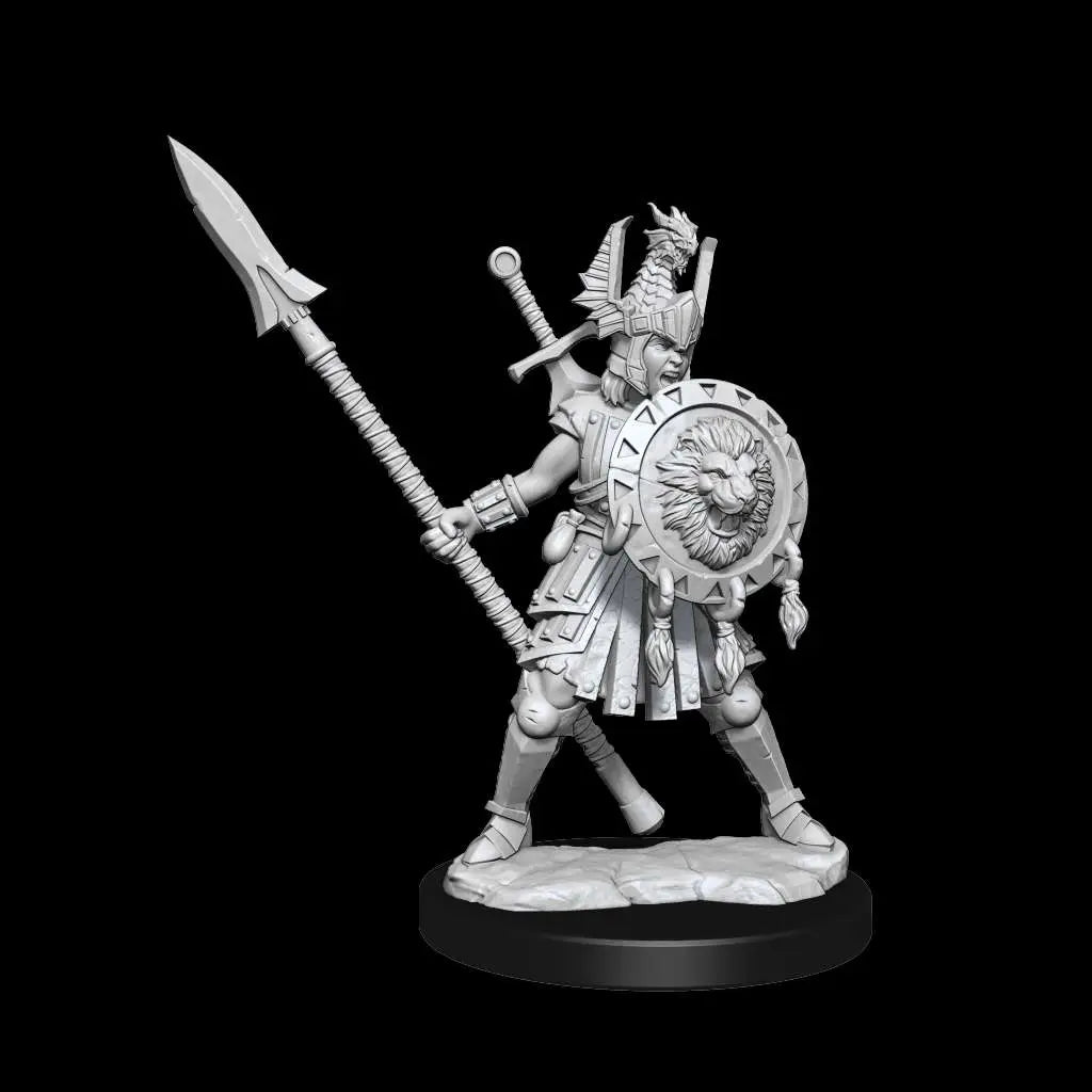 D&D FRAMEWORKS-HUMAN FIGHTER FEMALE