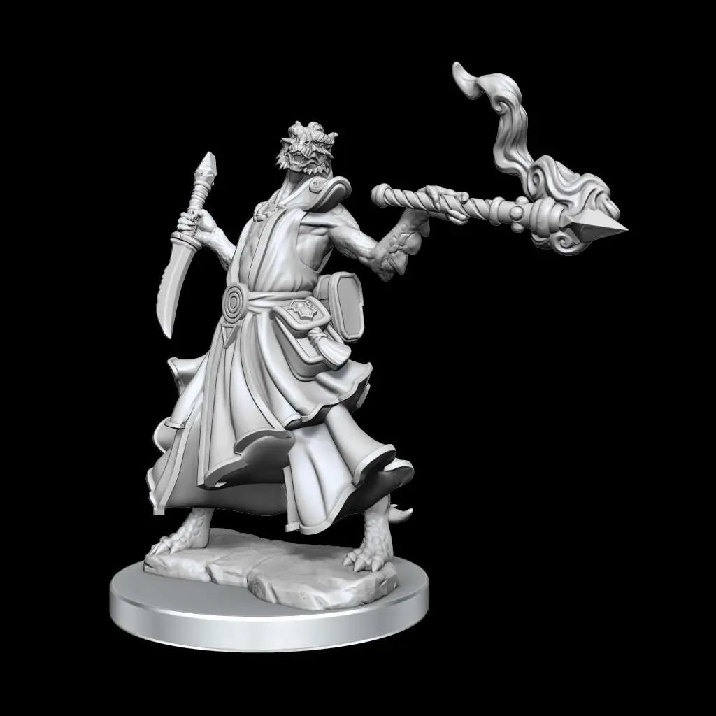 D&D FRAMEWORKS-DRAGONBORN SORCERER FEM.