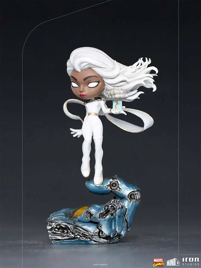 X-MEN STORM MINICO
