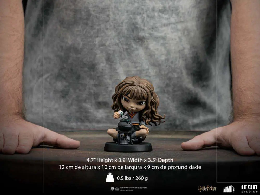 HP HERMIONE POLYJUICE MINICO