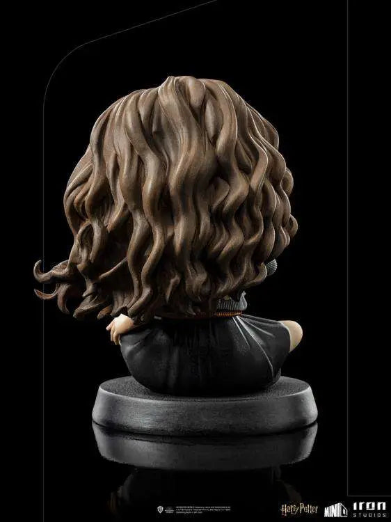 HP HERMIONE POLYJUICE MINICO