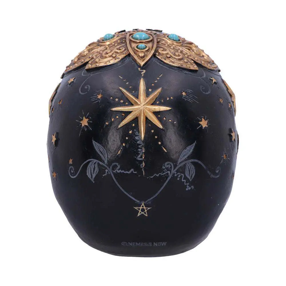 DESTINY PALMISTRY SKULL