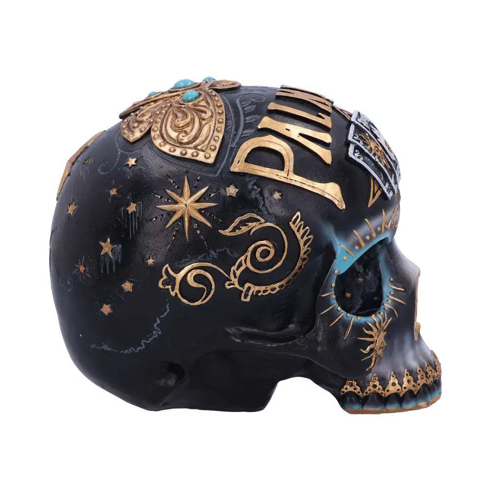 DESTINY PALMISTRY SKULL