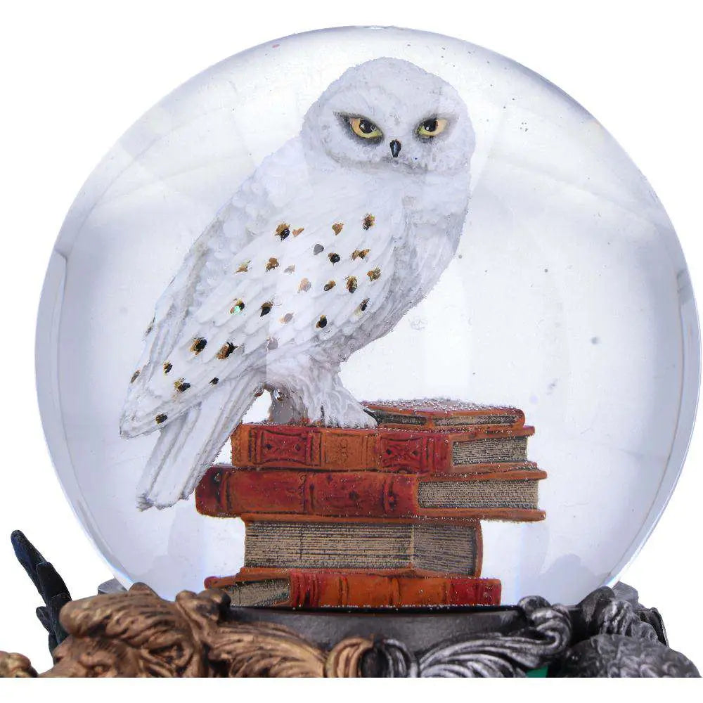 HARRY POTTER HEDWIG SNOW GLOBE