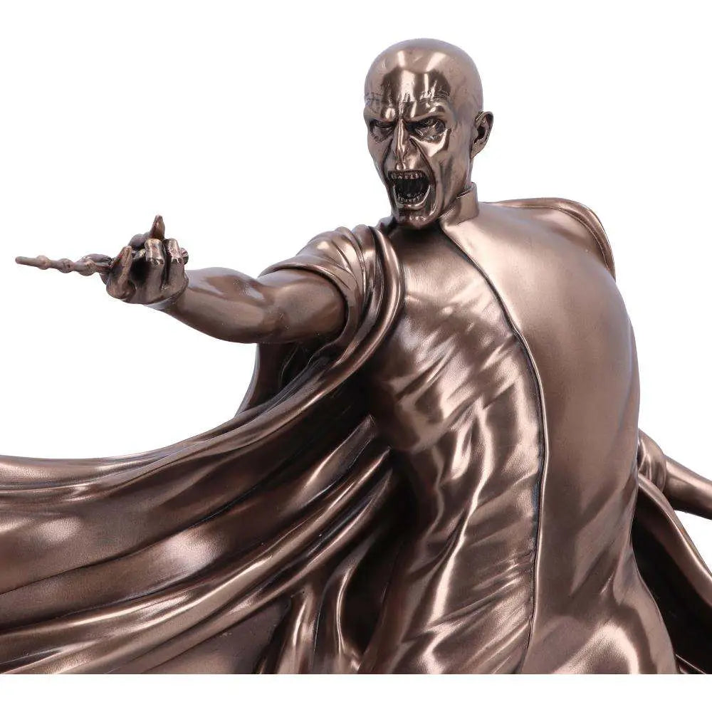 HARRY POTTER VOLDEMORT  AVADA KEDAVRA