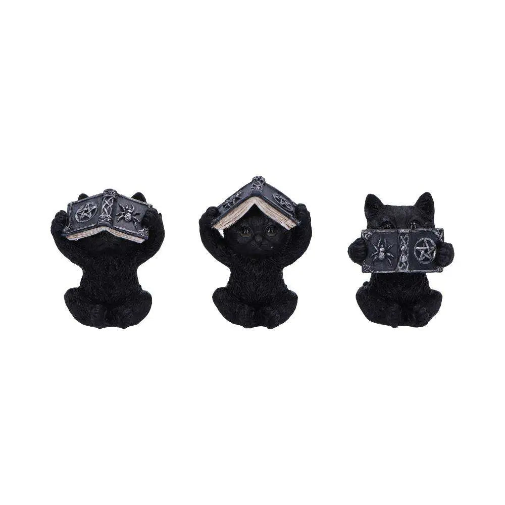 THREE WISE WITCHY BLACK SPELL CATS