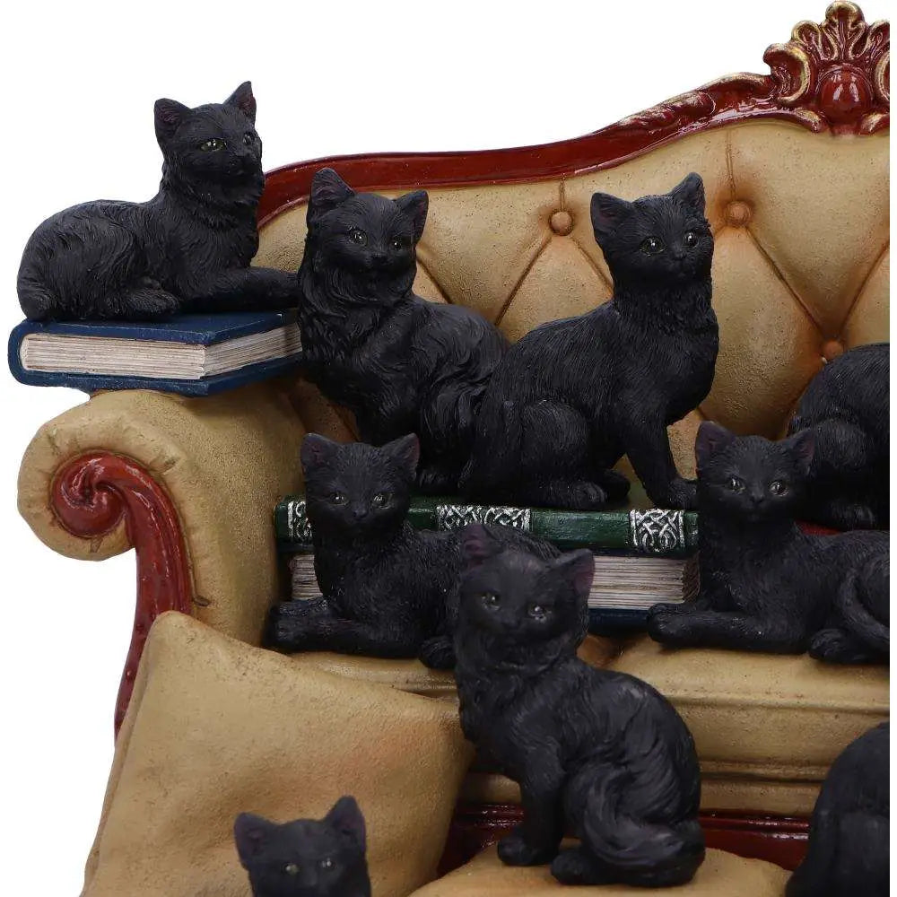 COUCH CLOWDER WITH 48 DISPLAY CATS