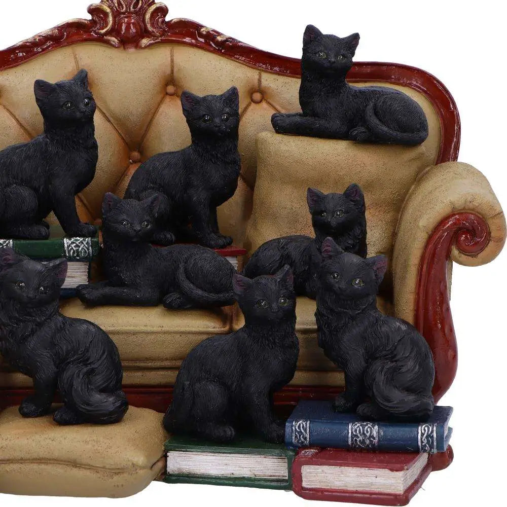 COUCH CLOWDER WITH 48 DISPLAY CATS