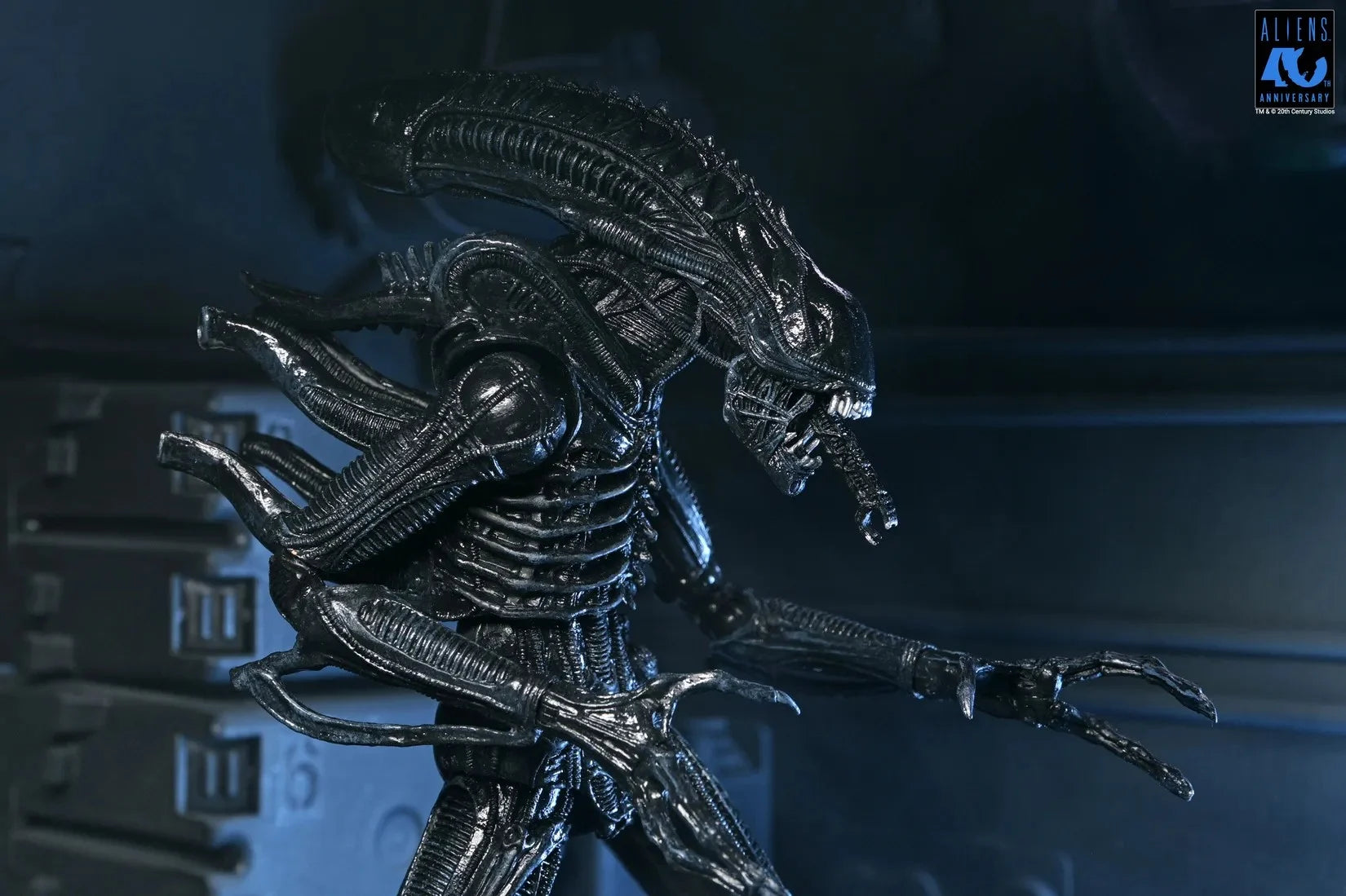 ALIENS 40TH ANNIVERSARY - Warrior Alien Black - Figure Ultimate 23cm