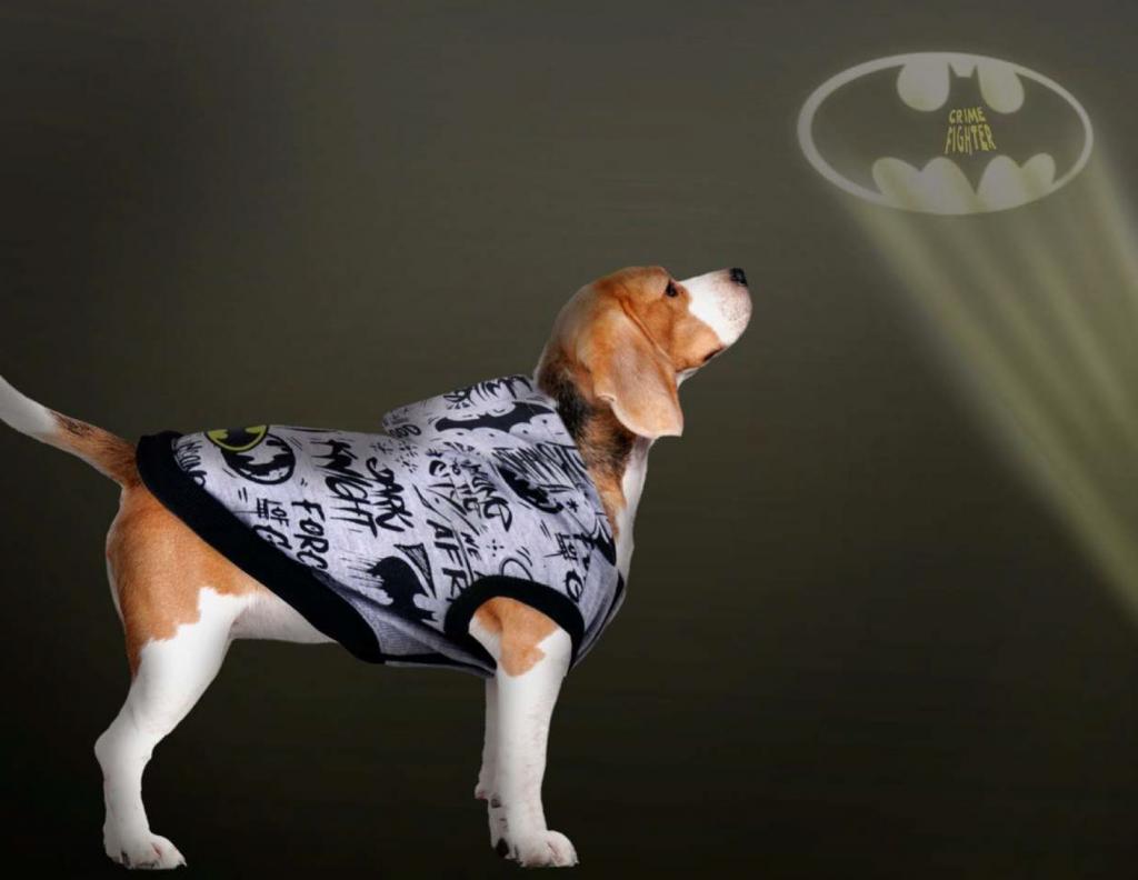 BATMAN - Dog Hoodie - M