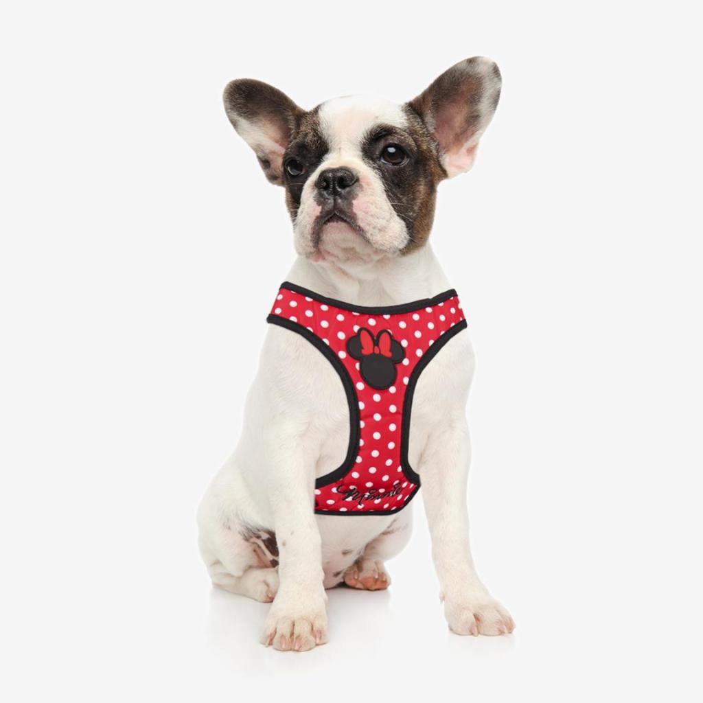 MINNIE - Dog Harness - M/L