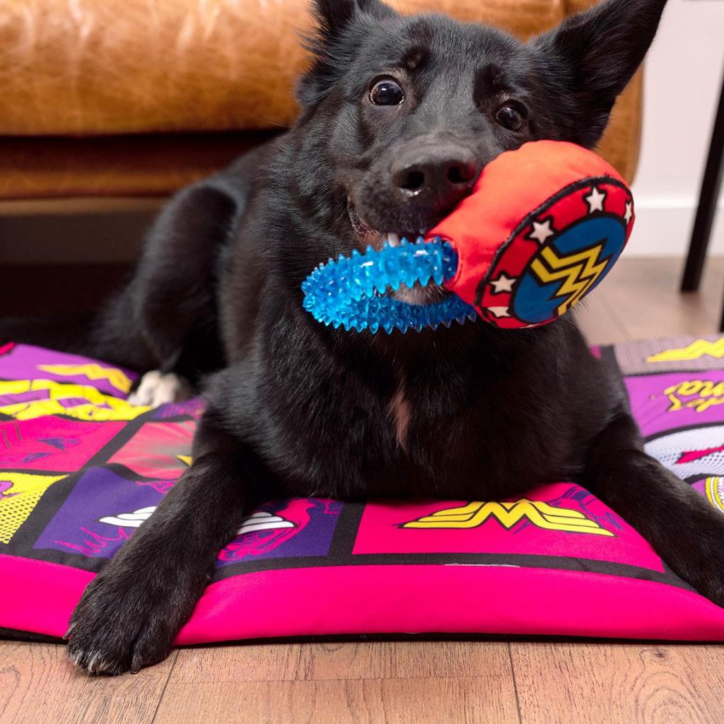 WONDER WOMAN - Toy - Teething Ring for Dog