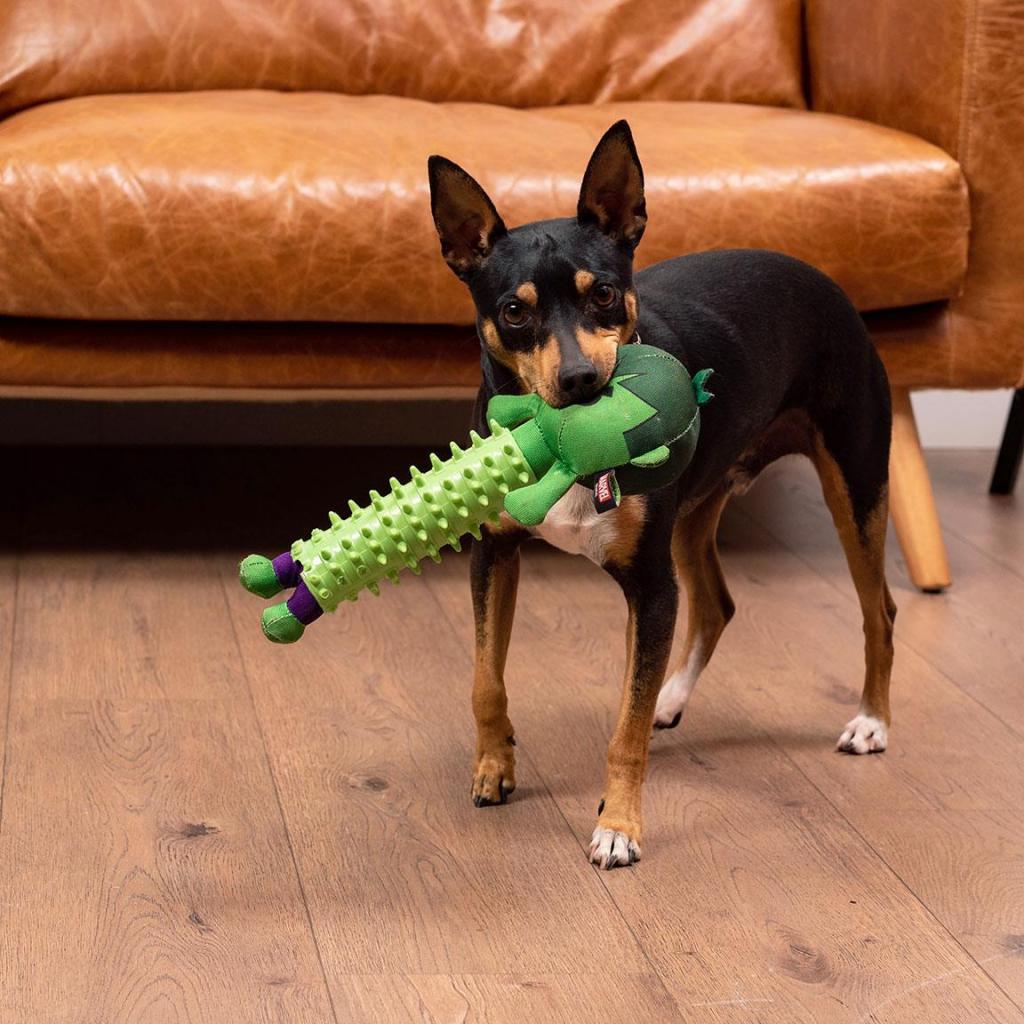 MARVEL - Hulk - Teething Toy for Dog