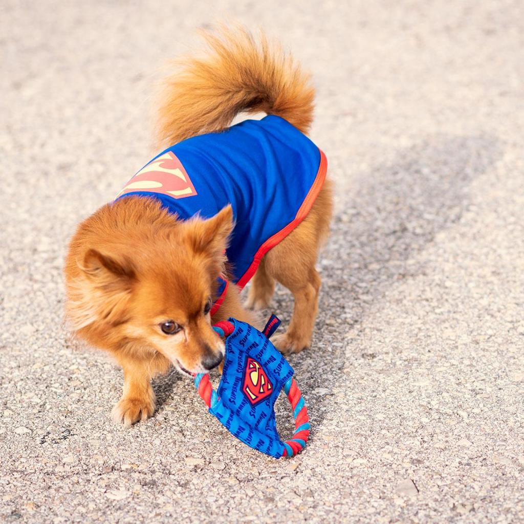 SUPERMAN - Rope Theething Toy for Dog