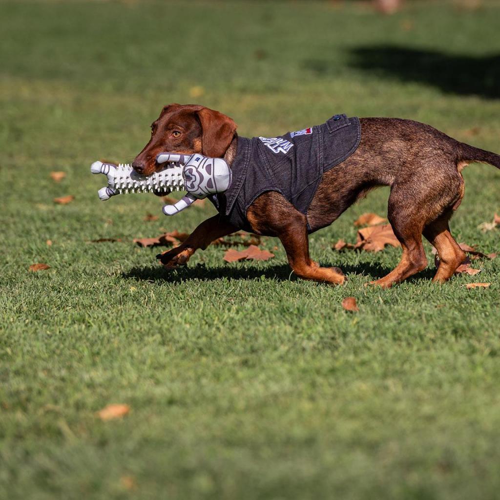 STAR WARS - Dog Denim Jacket - M