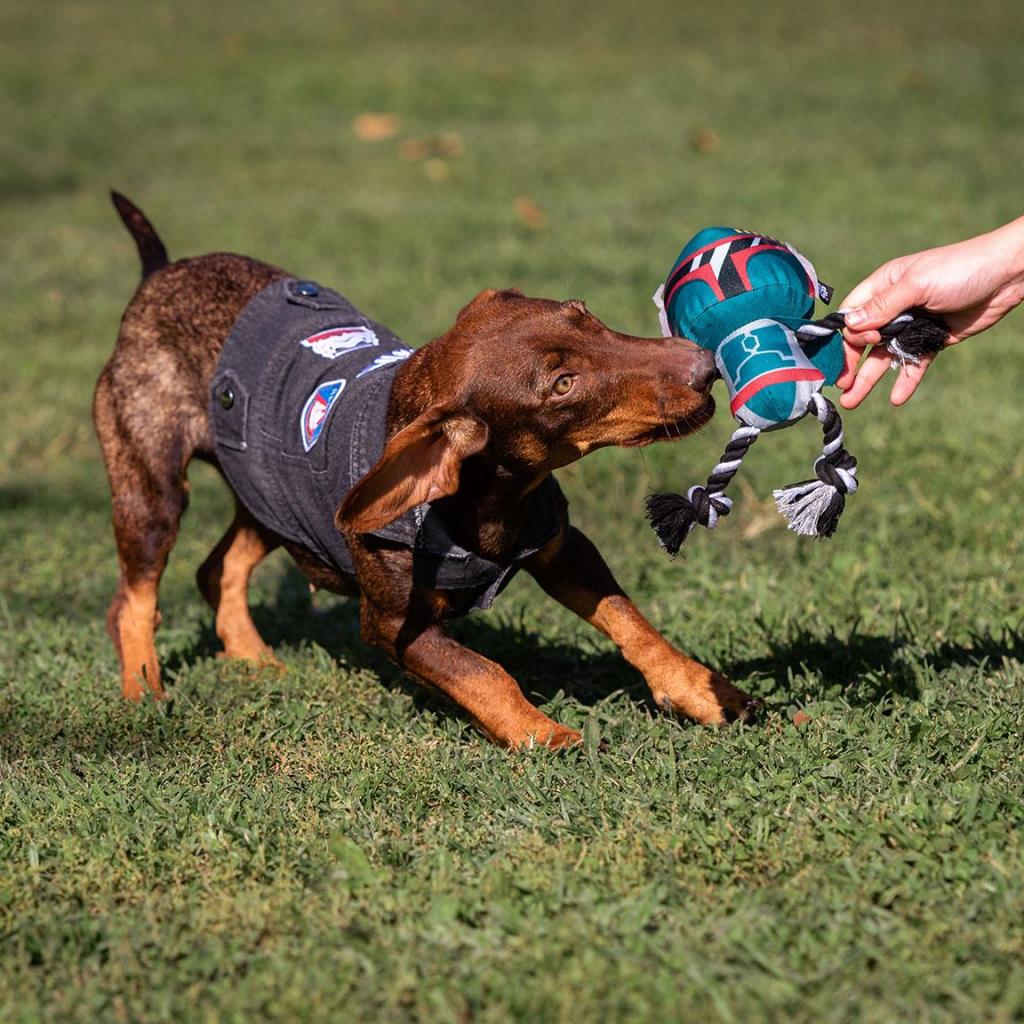 STAR WARS - Rope Toy for Dog - Boba Fett